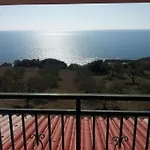 Il Carrubo *