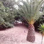 Il Carrubo *