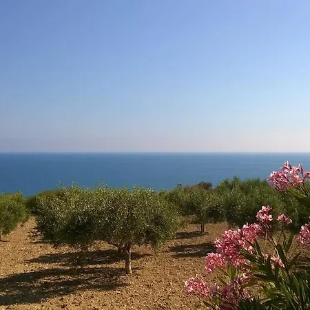 Villa Il Carrubo *