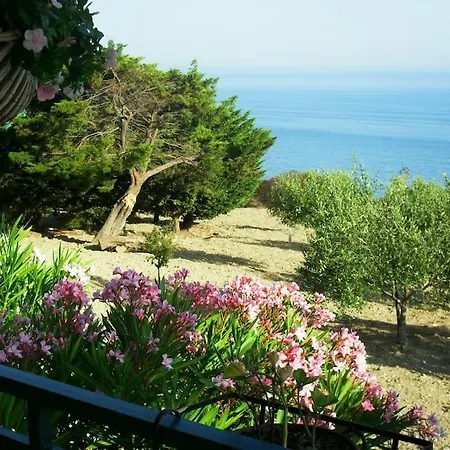 Villa Il Carrubo *